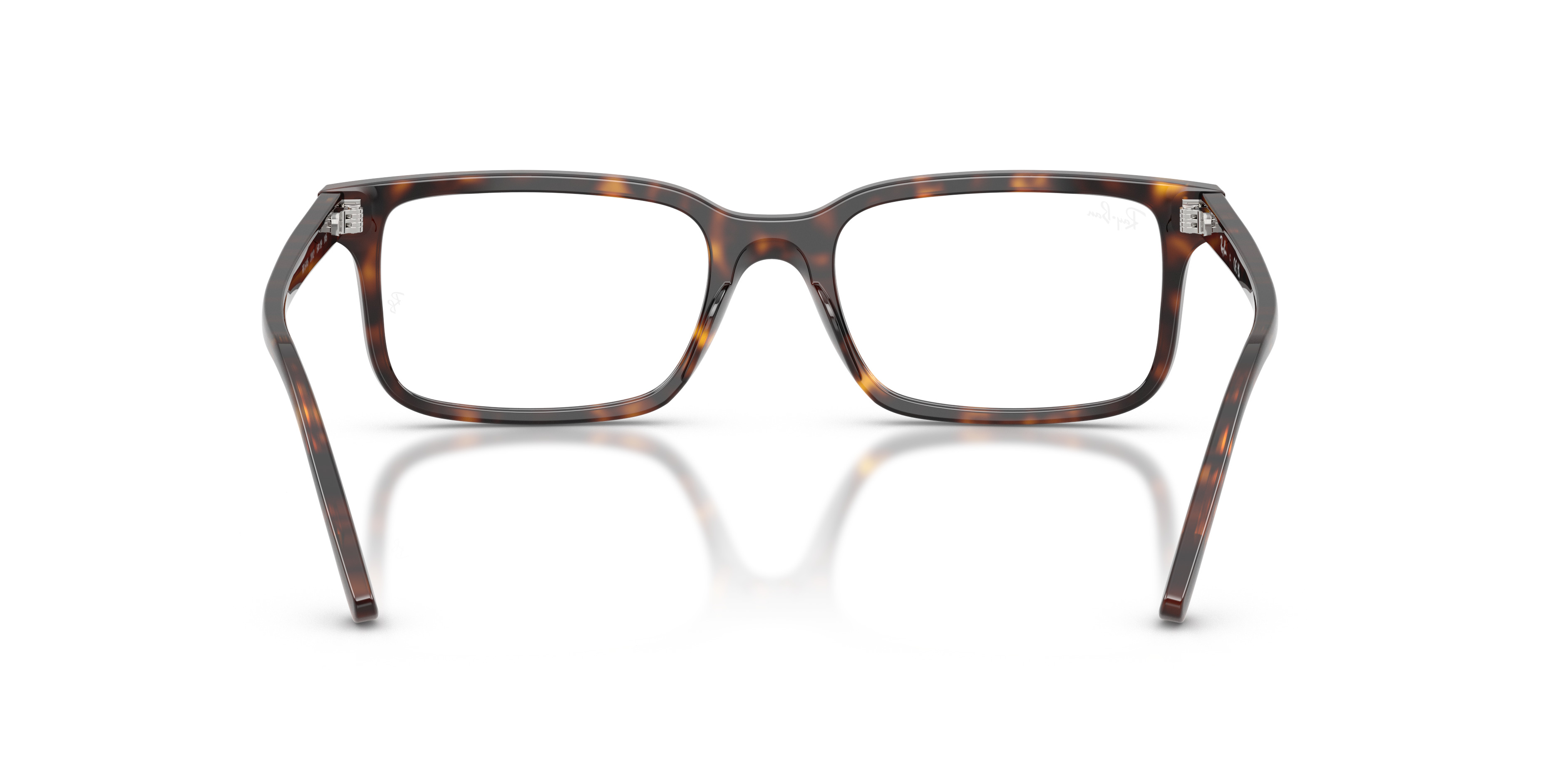 RB5445 OPTICS - 6