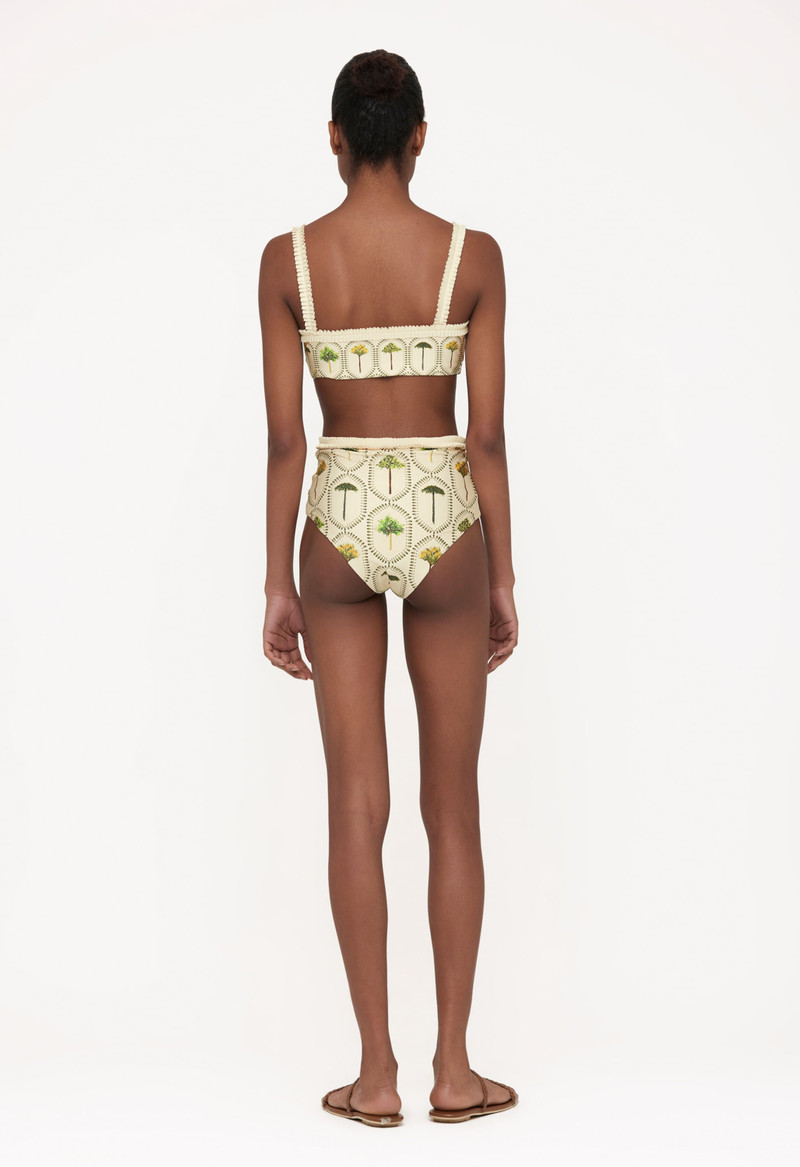 Nopal Arboleda Bikini Bottom 4
