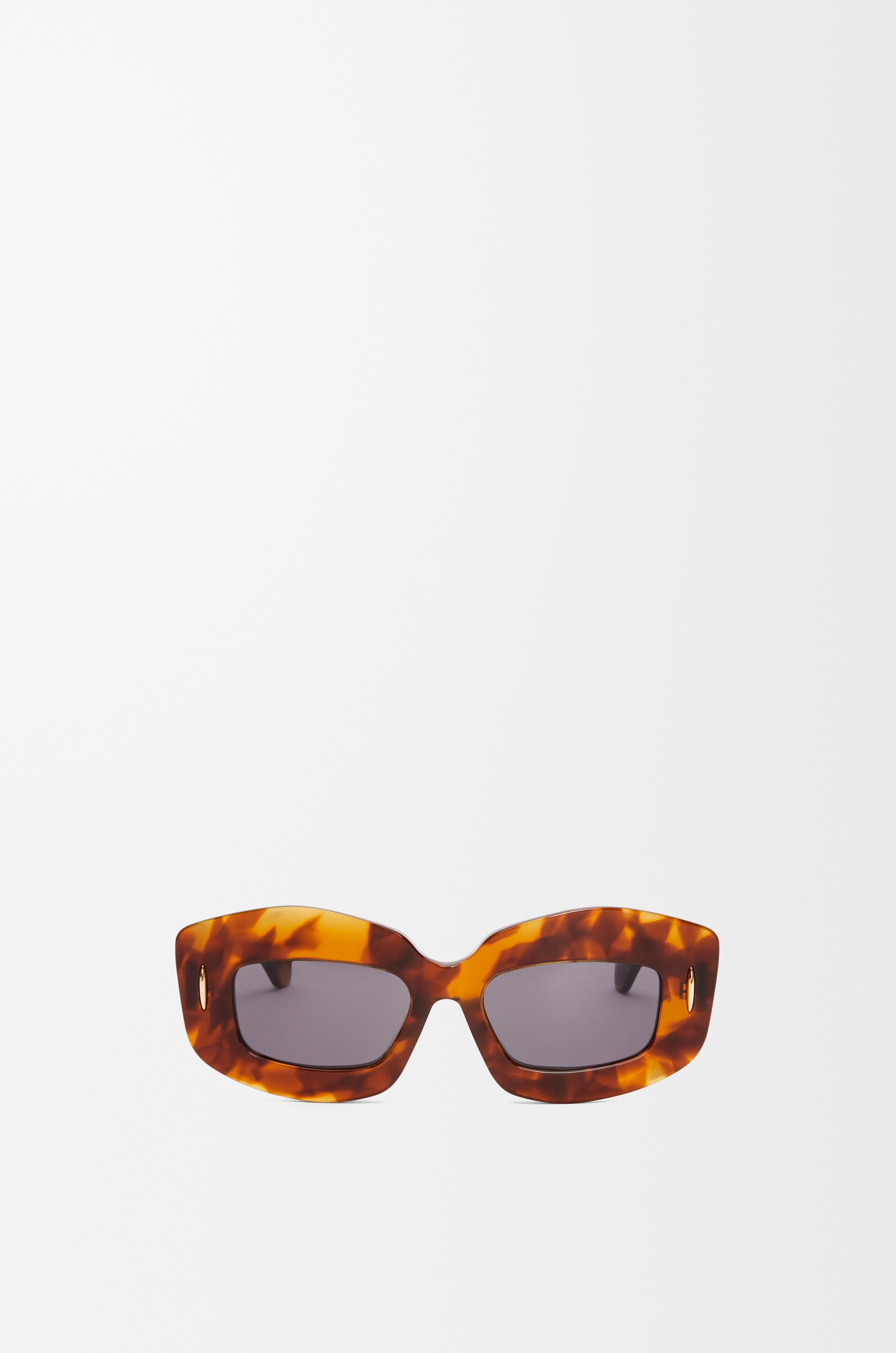 Screen sunglasses in acetate - 1