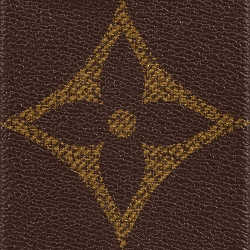 Bumper on Strap Iphone 13 Pro 3