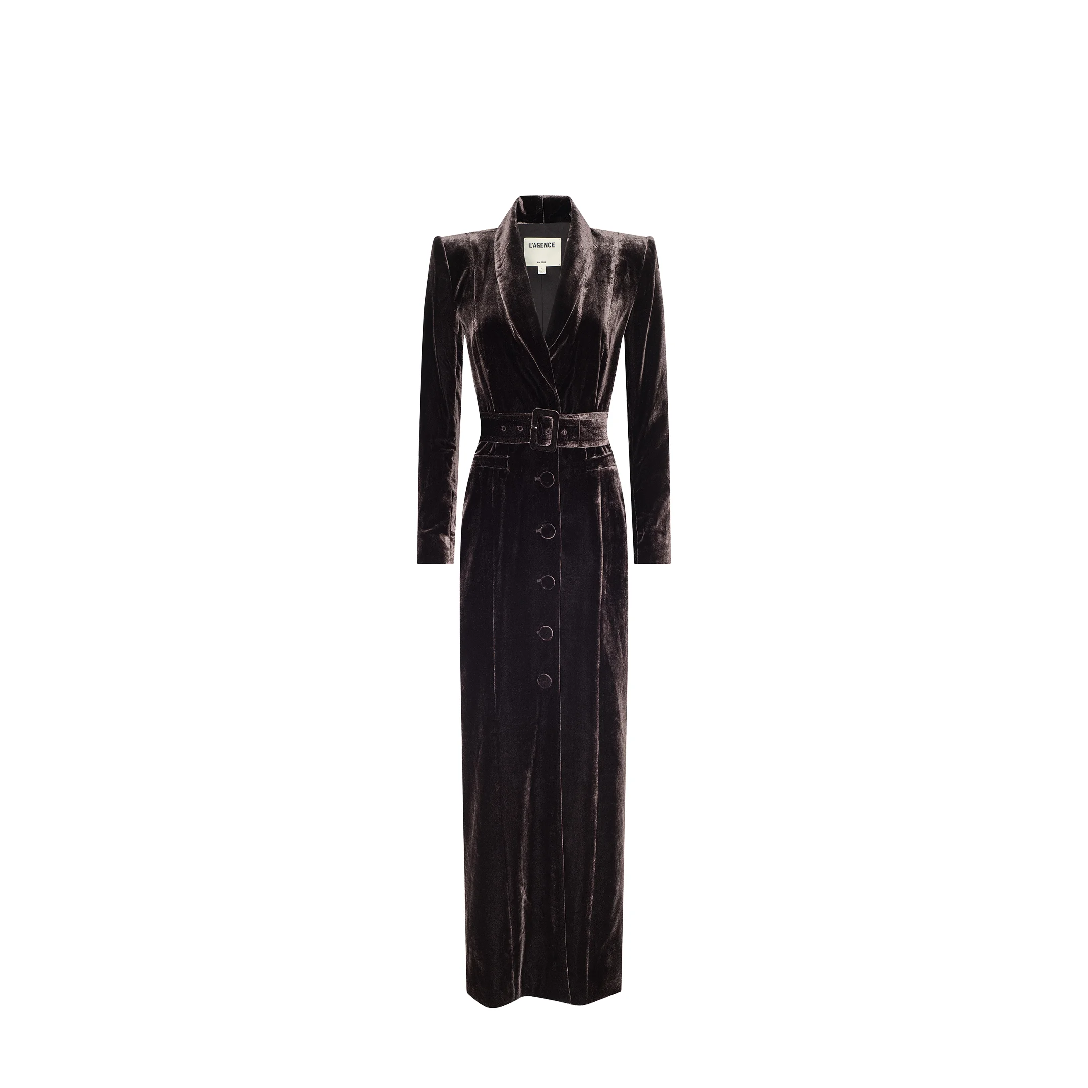Raini Velvet Maxi Dress - 1