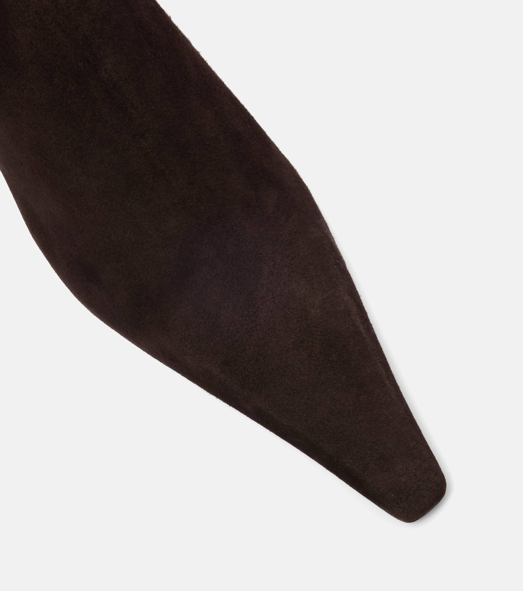 Pointy 75 suede ankle boots - 5