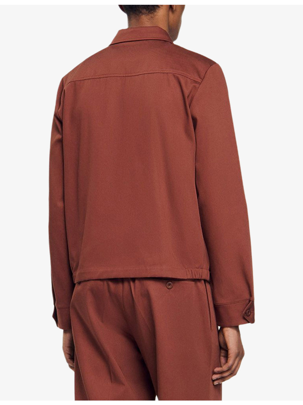 Pointed collar cotton Harrington jacket - 4