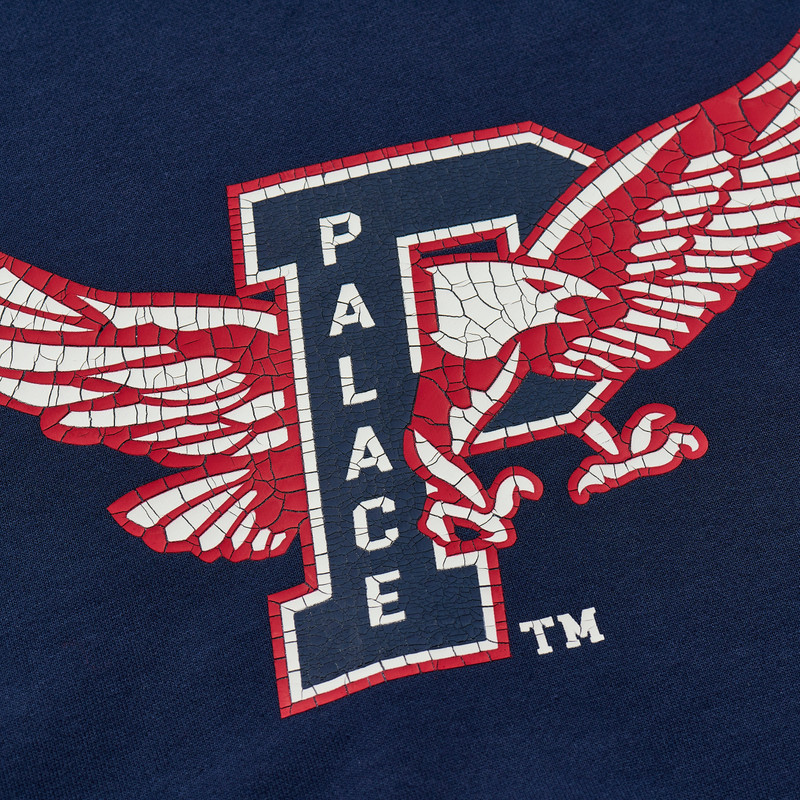 PALACE PALACE EAGLES HOOD NAVY outlook