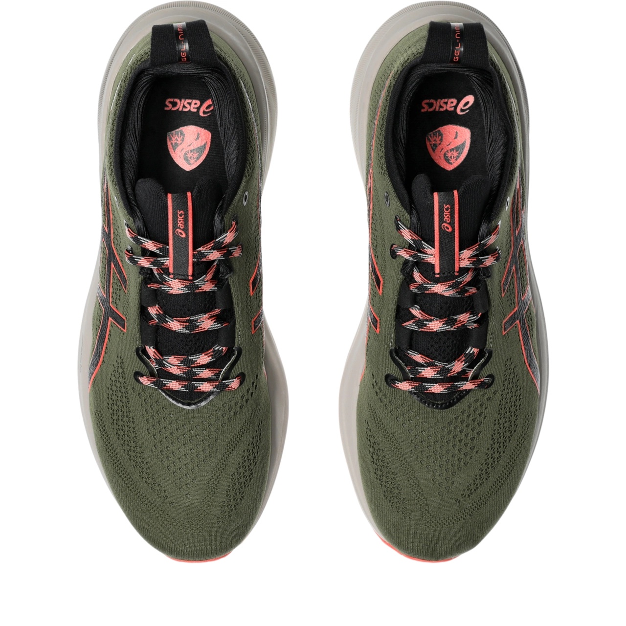 GEL-NIMBUS 26 TR - 6