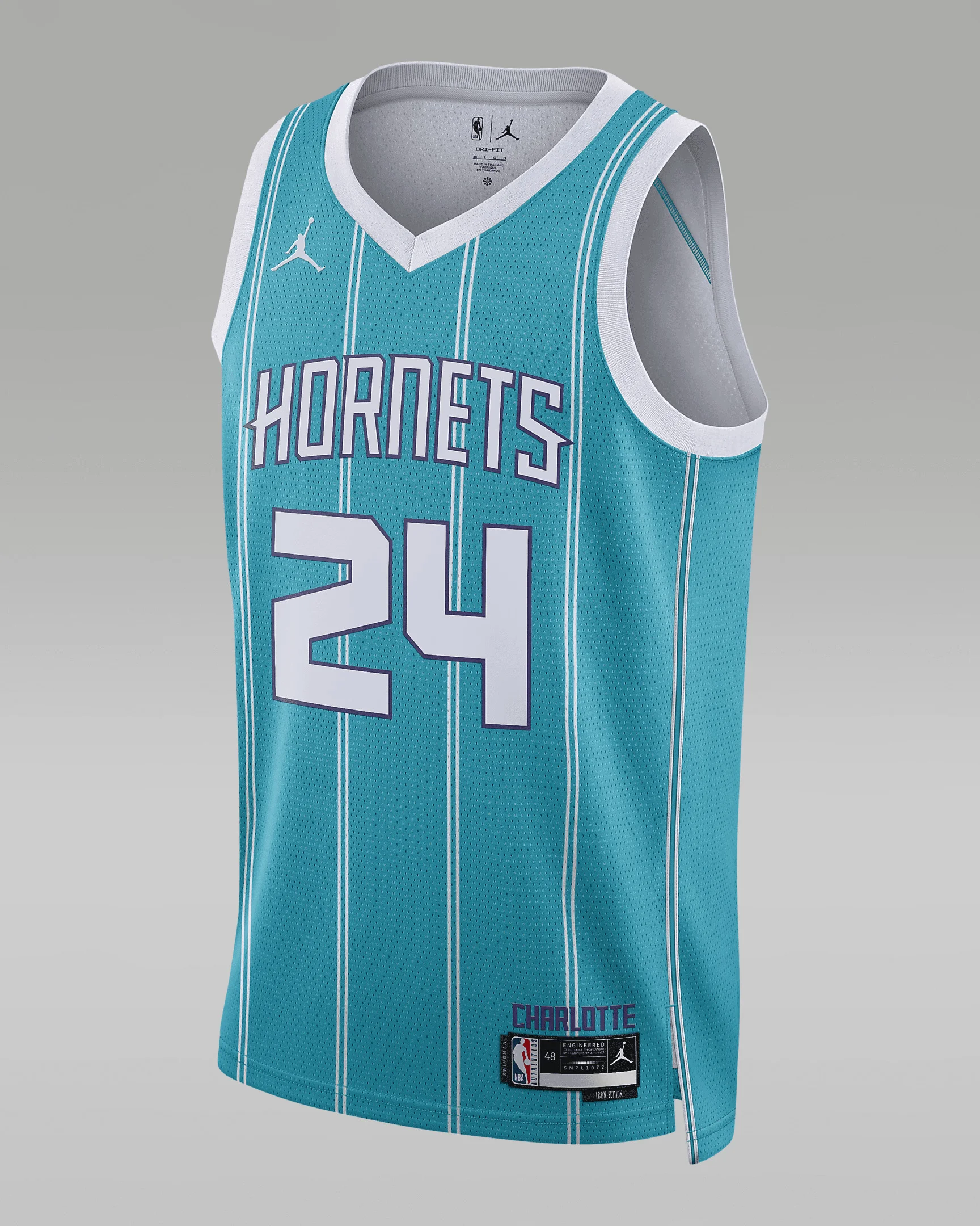 남자 샬롯 Hornets 아이콘 에디션 2022/23 요르단 Dri-FIT NBA 스윙맨 저지 - 1