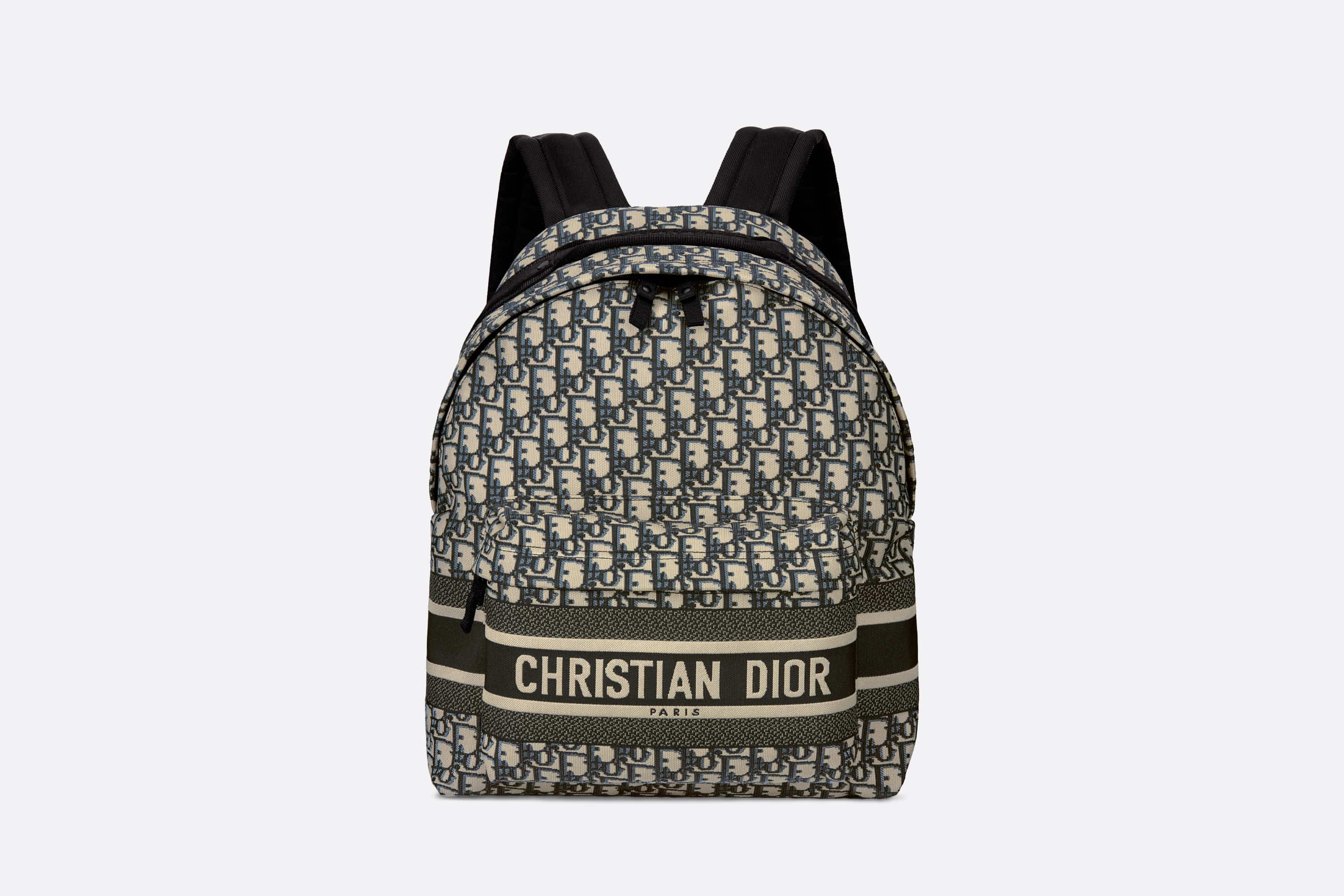 DiorTravel Backpack - 1