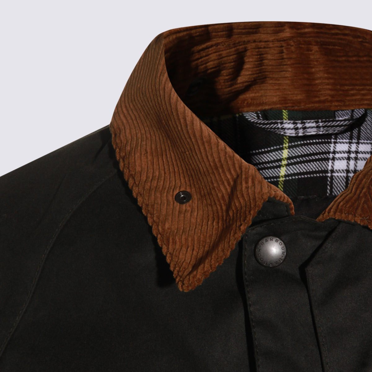 Coats Sage - 3