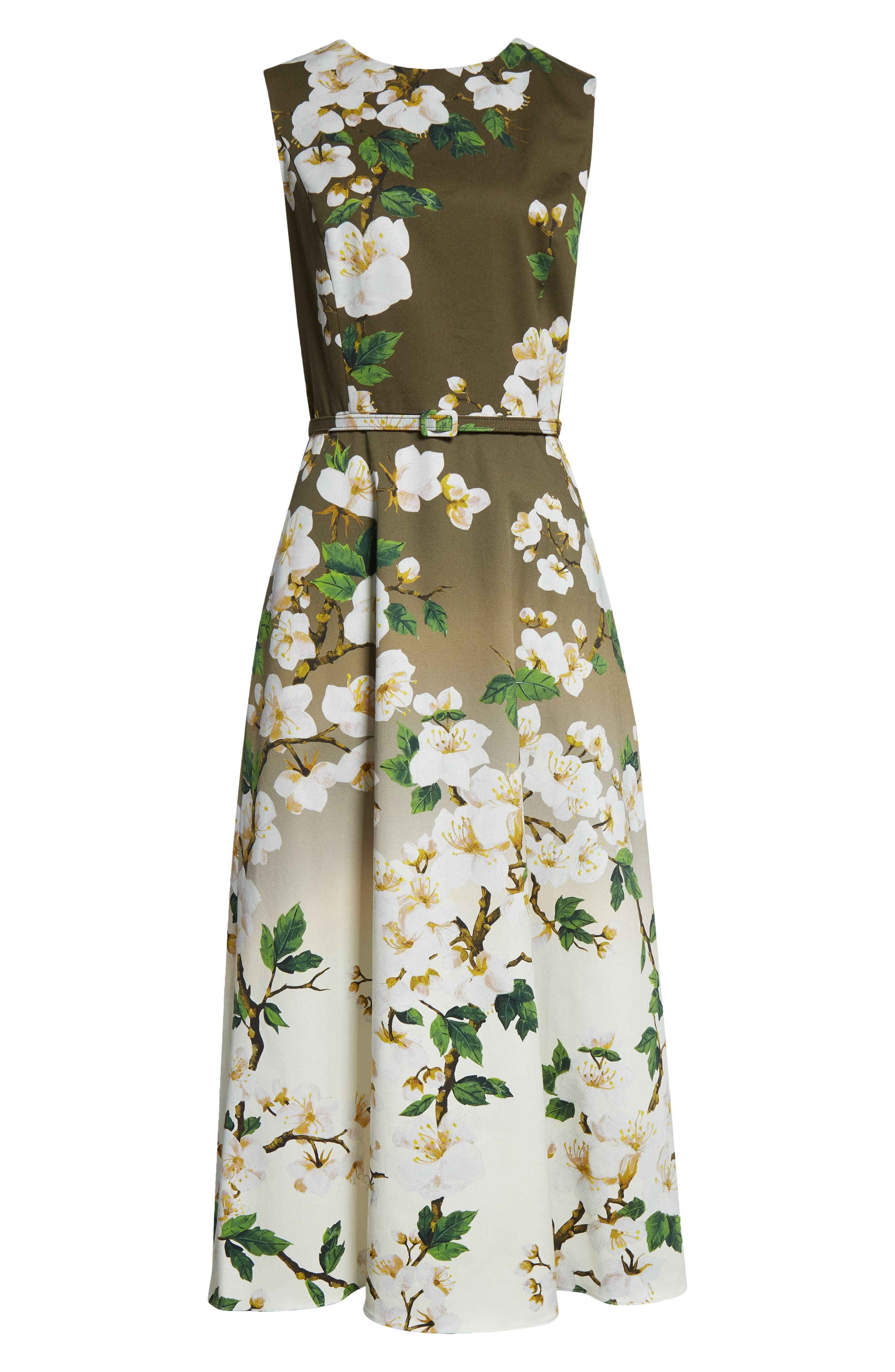Oscar de la Renta Ombré Cherry Blossom Belted Poplin Midi Dress in White Khaki Ombre at Nordstrom - 5