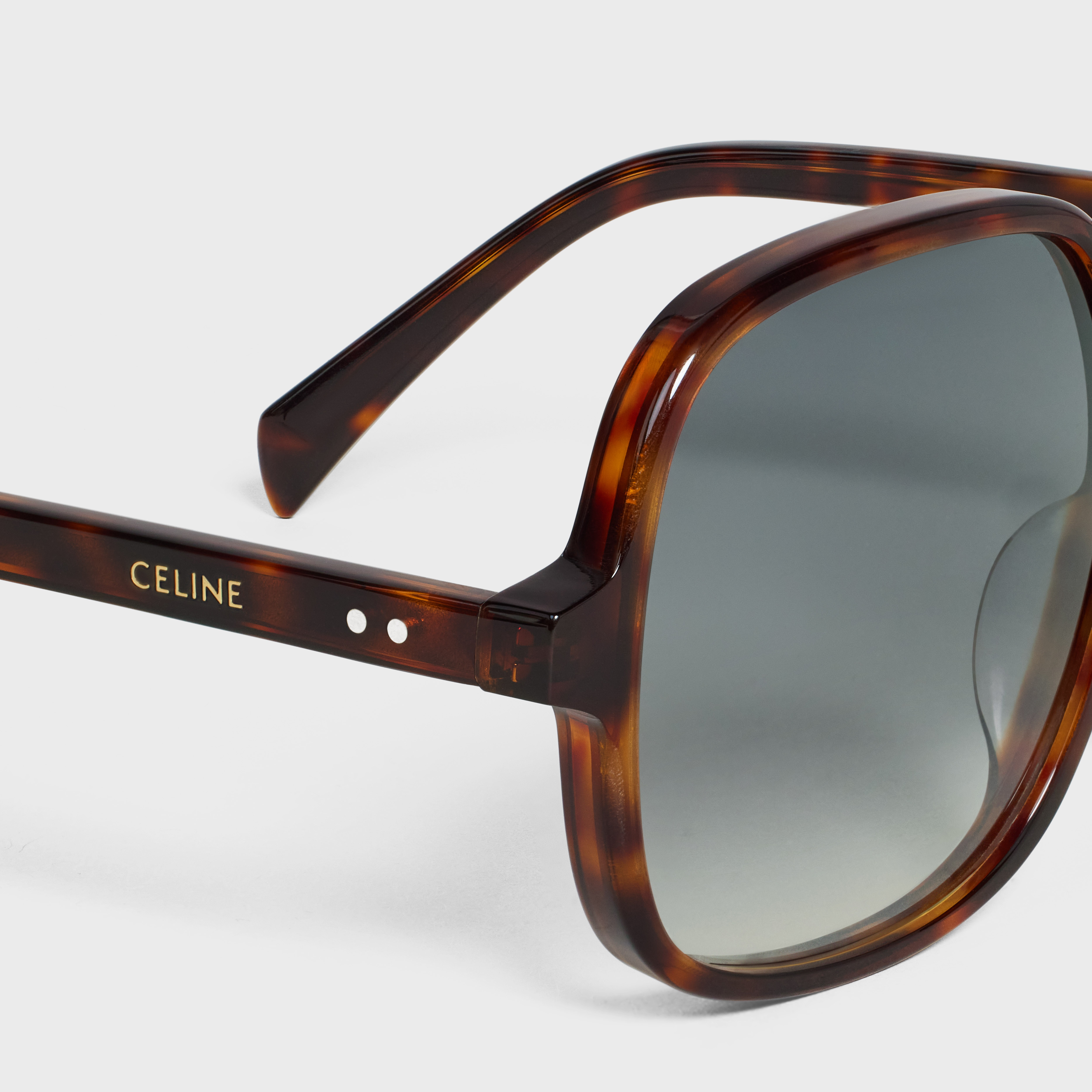 Oversized S244 Sunglasses in Acetate - 4