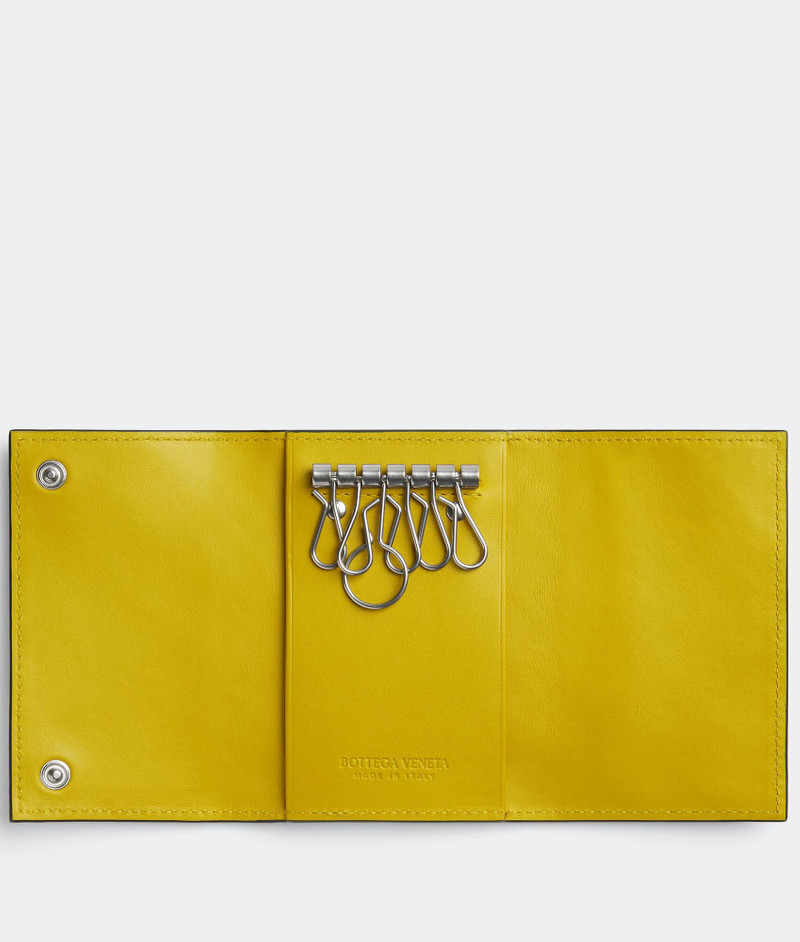 Bottega Veneta key pouch outlook