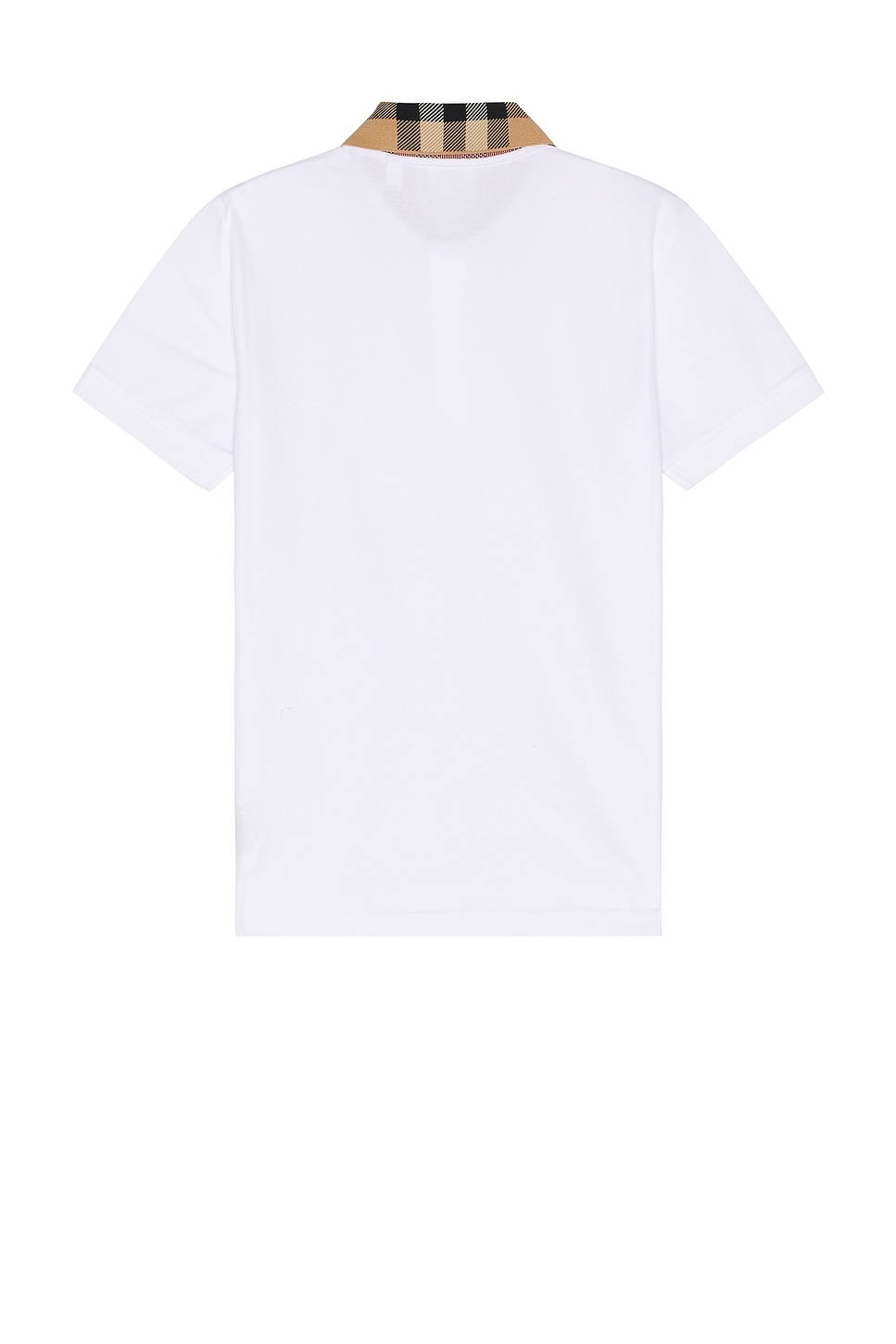 Cody Polo - 2