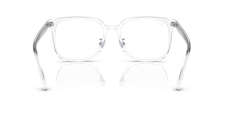 RB5419 OPTICS 6