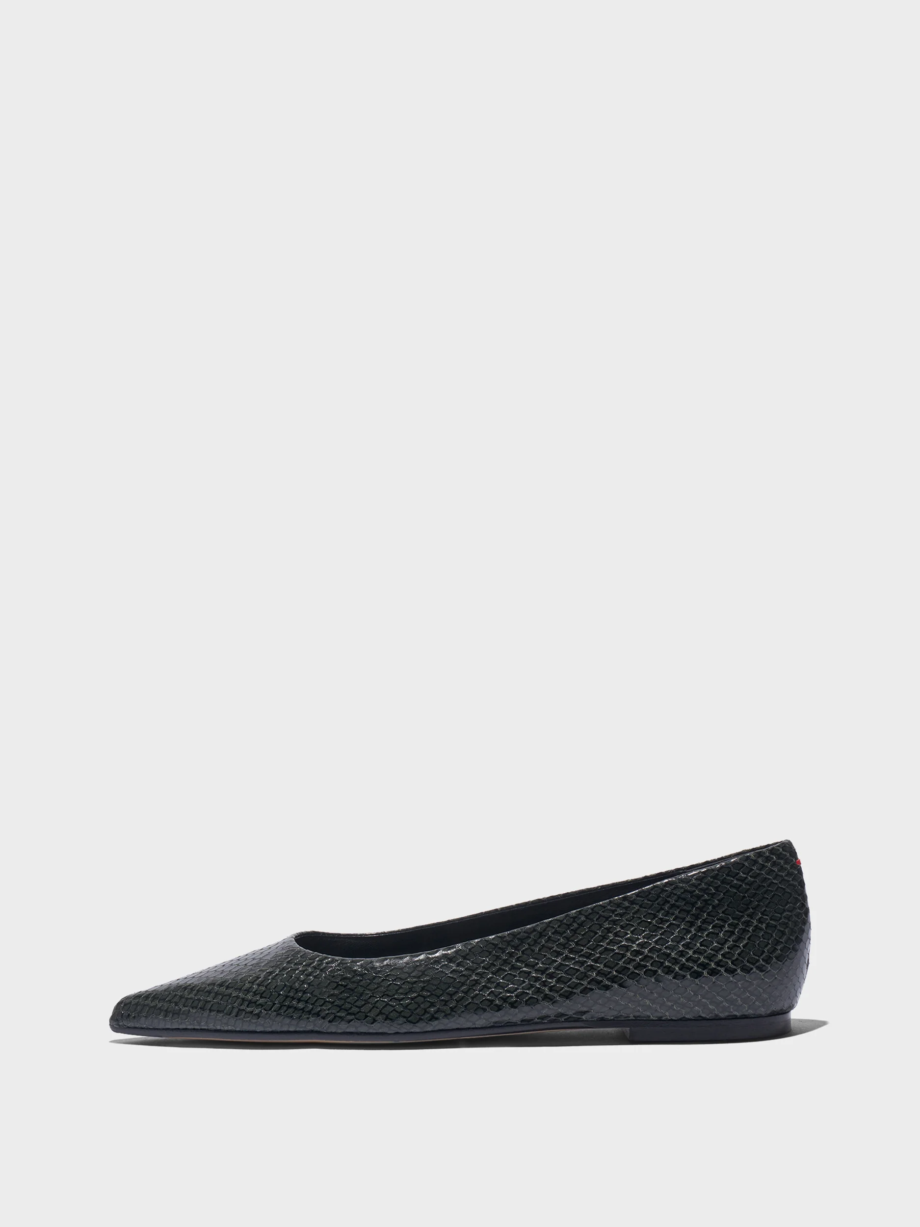 Cassy Pointed-Toe Flats - 1