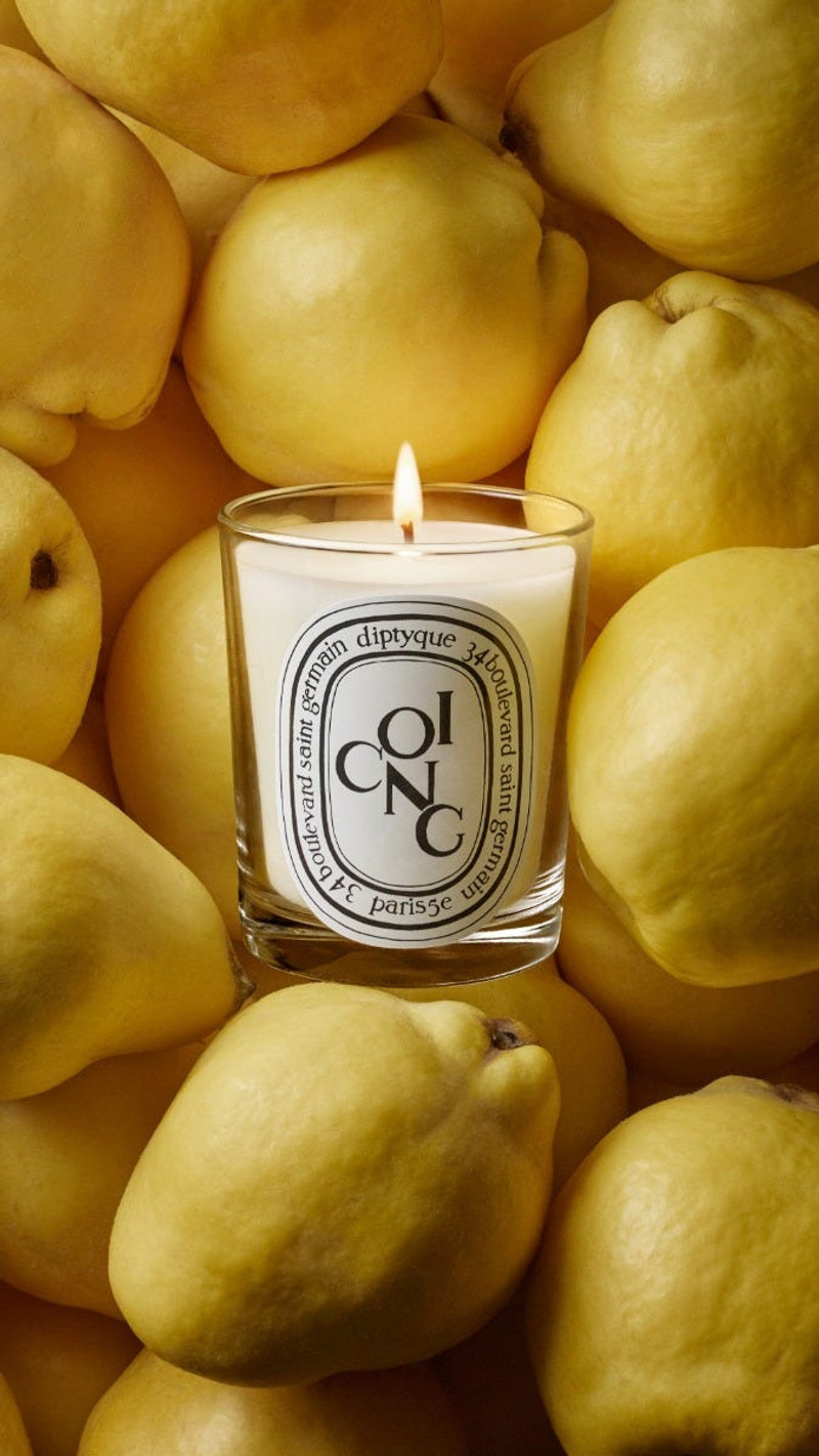 Coing (Quince) - Classic Candle 5