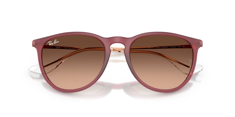 Ray-Ban ERIKA CLASSIC outlook