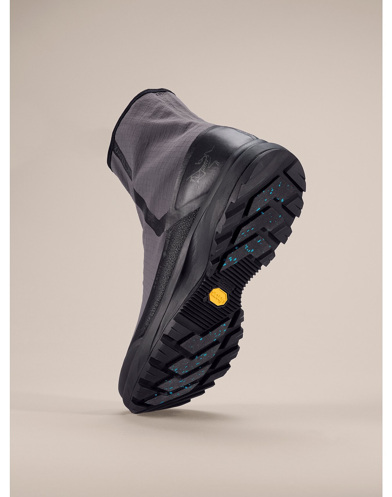 Aerios Nivalis GTX Shoe - 4