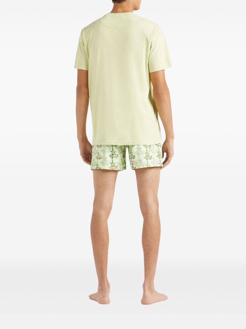 Solid T-shirt - 3