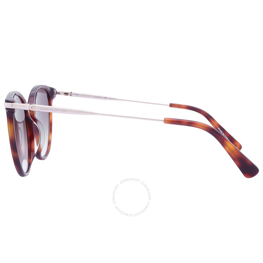 Longchamp Grey Gradient Phantos Ladies Sunglasses LO646S 214 54 - 4