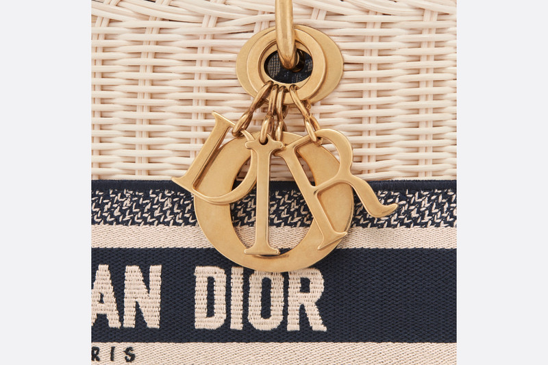 Medium Lady Dior Bag 5