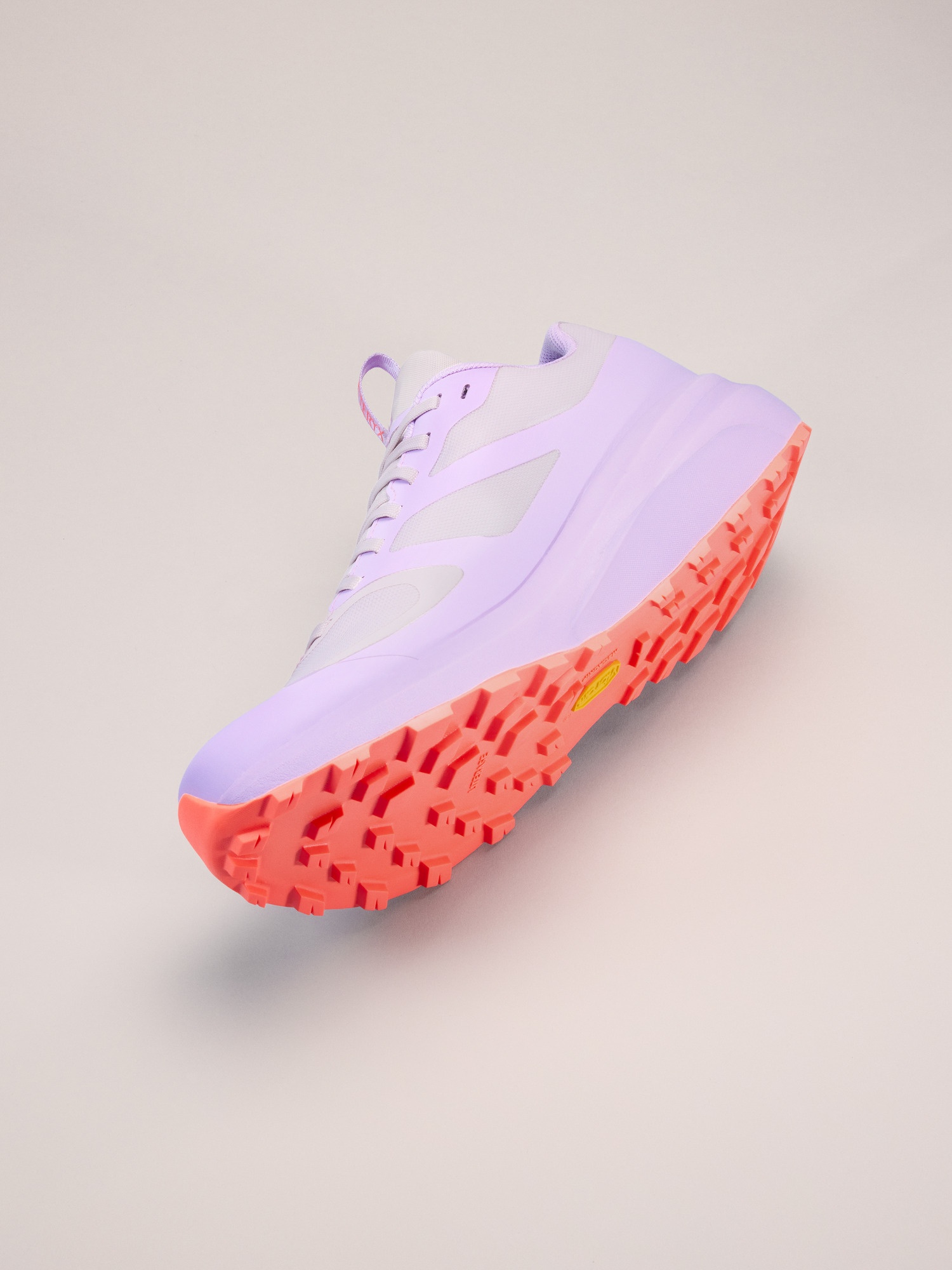 Norvan LD 3 GTX Shoe - 5