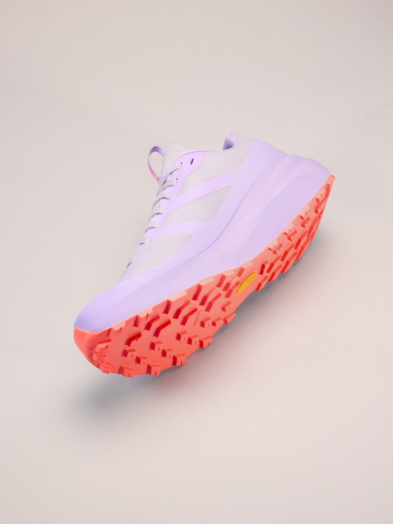 Norvan LD 3 GTX Shoe 5