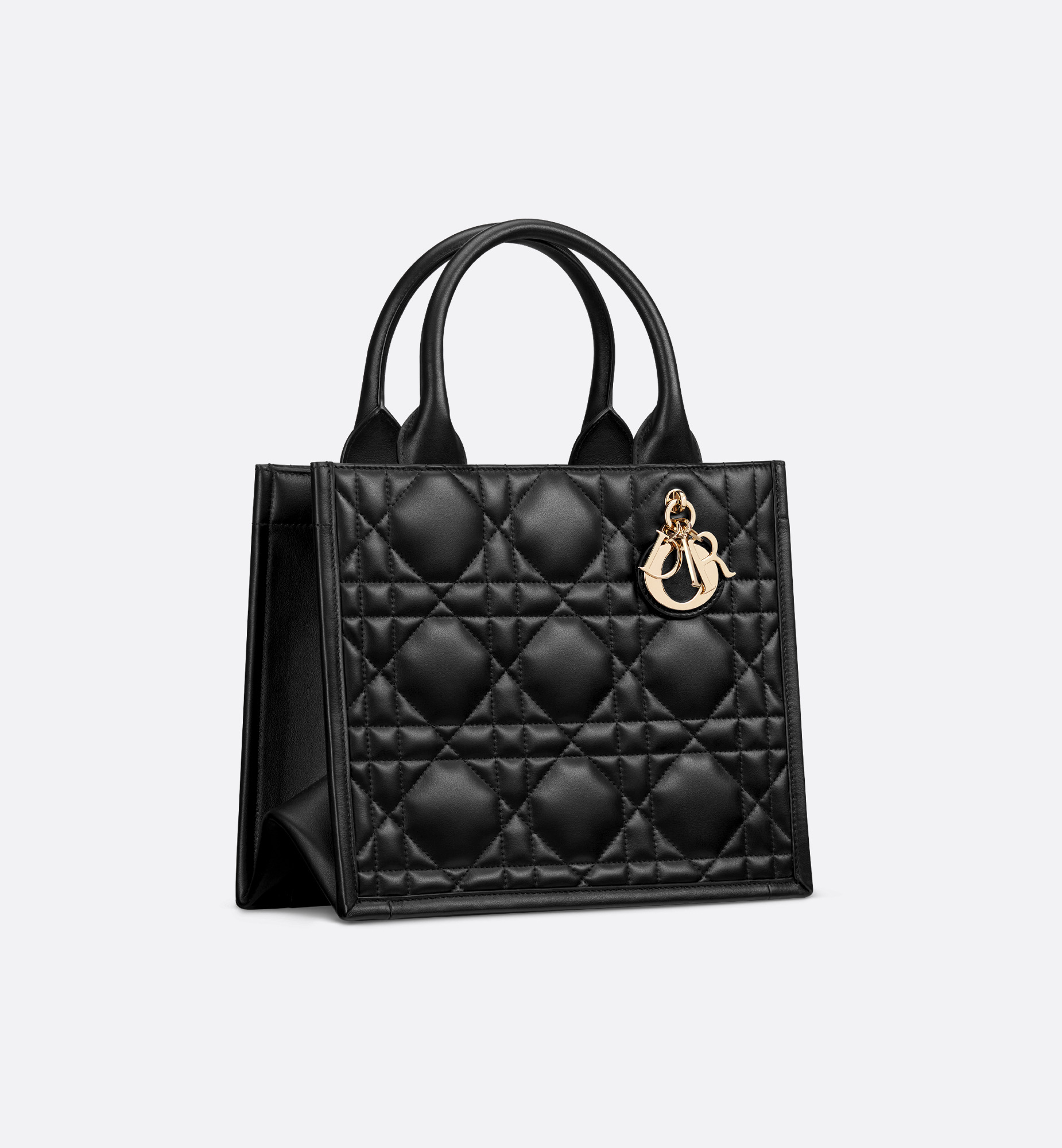 Small Dior Book Tote - 4