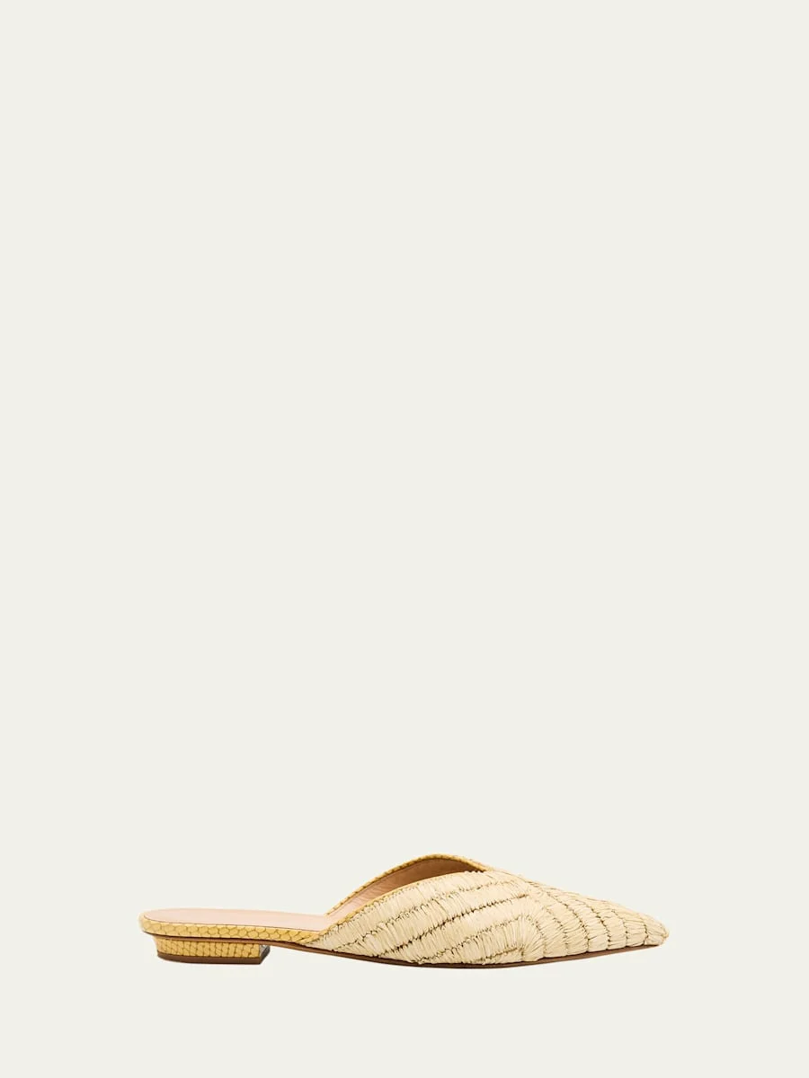 Aunika Raffia Ballerina Mules - 1