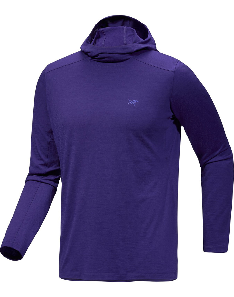 Ionia Merino Wool Hoody 1