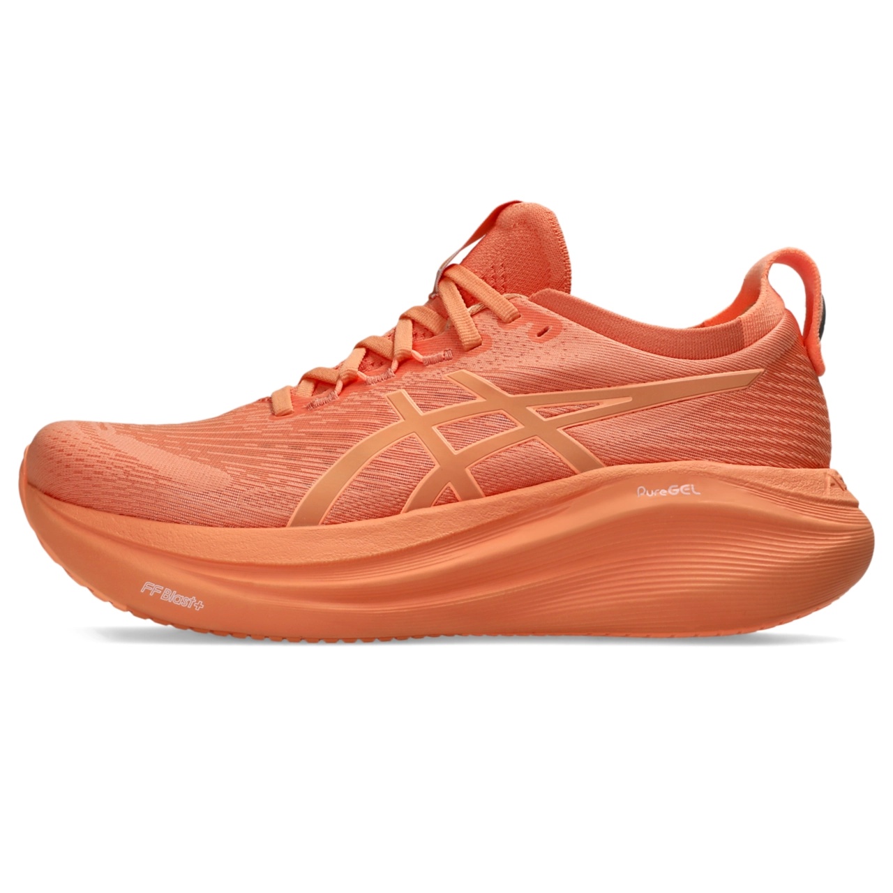 GEL-NIMBUS 27 LITE-SHOW - 8