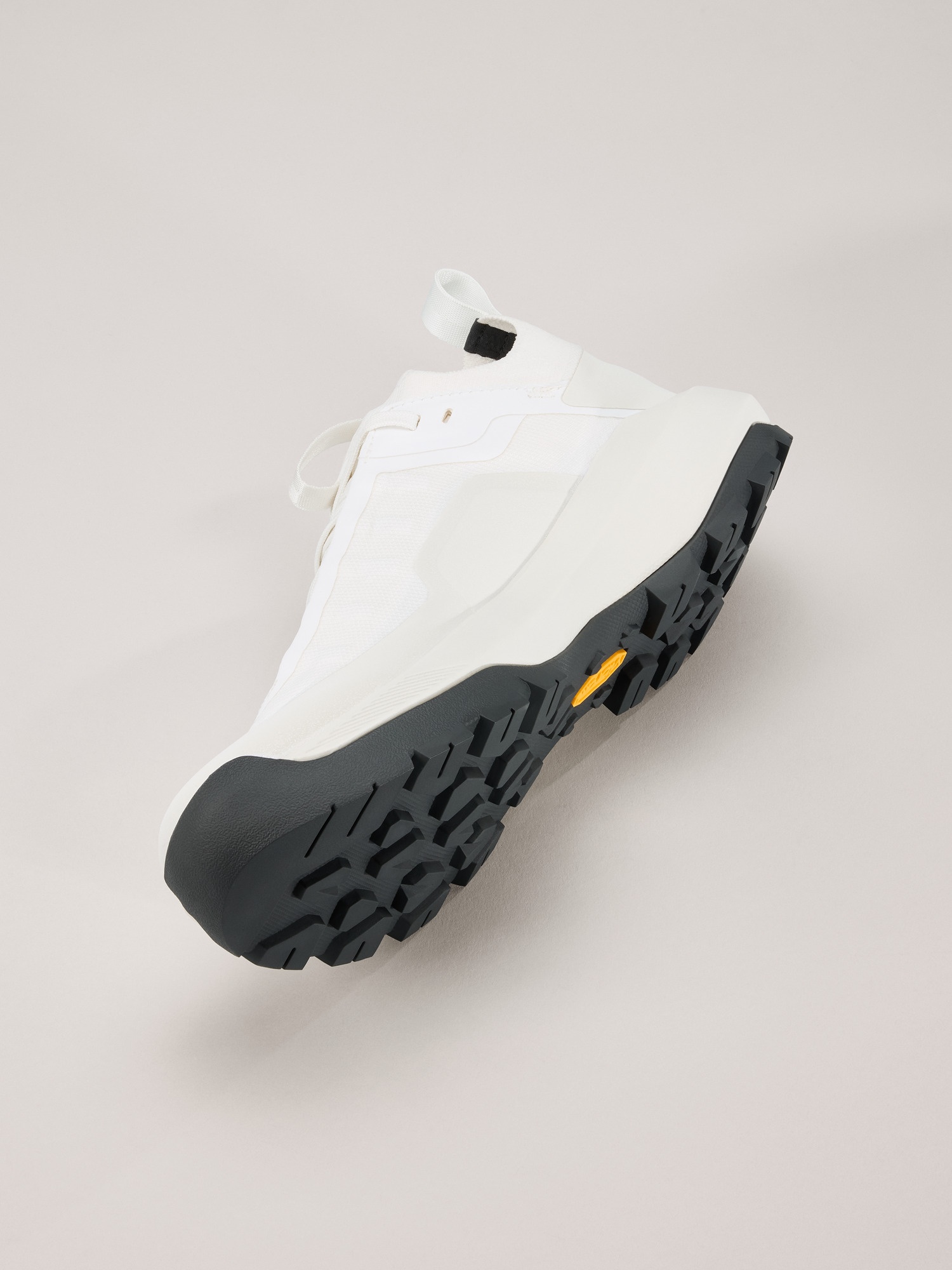 Vertex Alpine GTX Shoe - 5