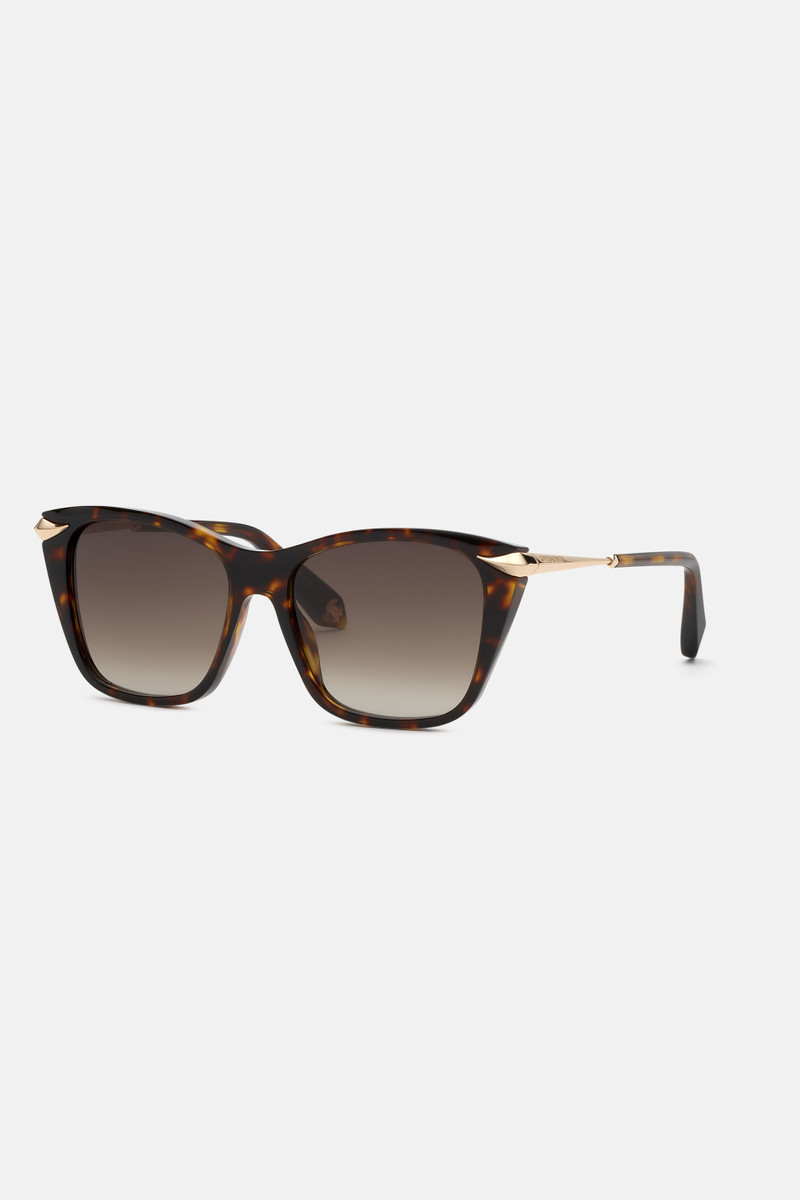 Roberto Cavalli Sunglasses with acetate front combined with metal temples outlook
