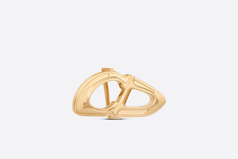 Dior CD30 Belt Buckle outlook