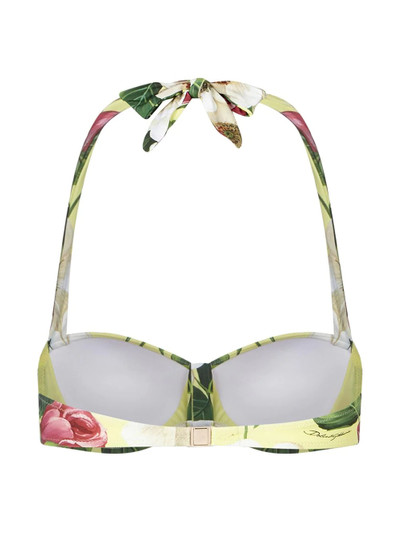 Dolce & Gabbana floral-print bandeau bikini top outlook