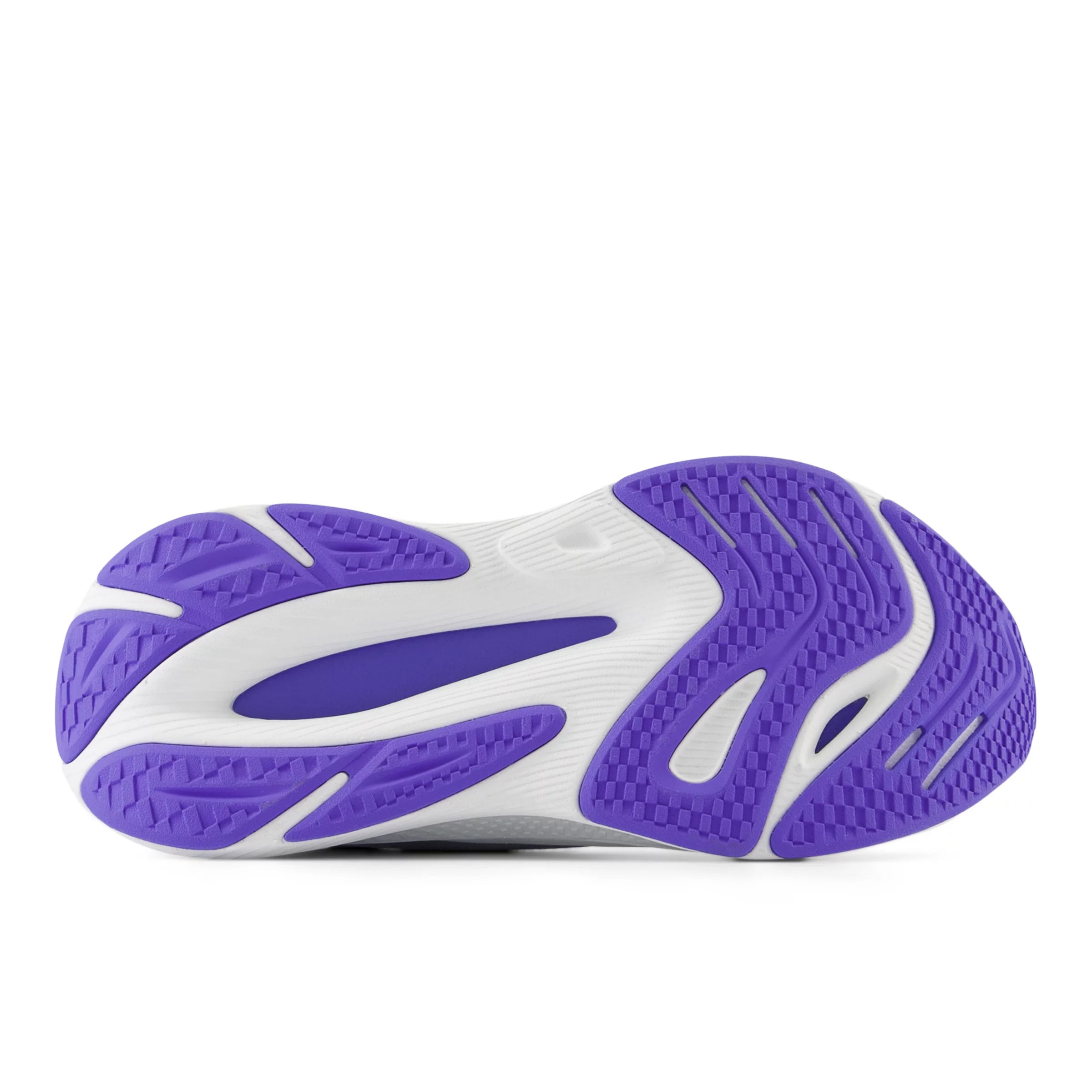 FuelCell Walker Elite - 5