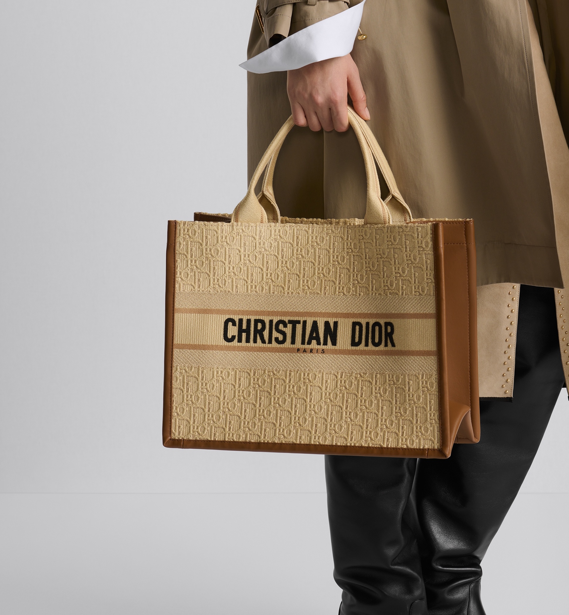 Medium Dior Book Tote - 2