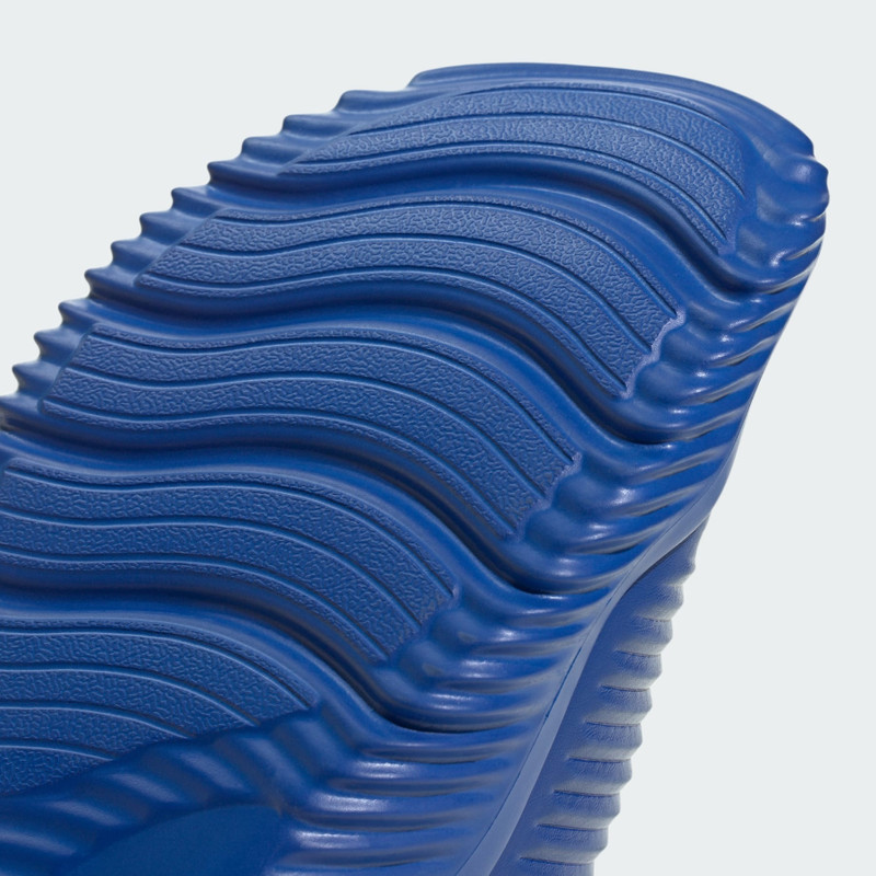 Alpharesponse 2.0 Slides 8