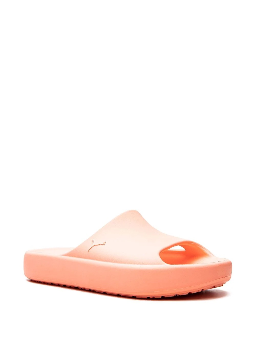 Shibui Cat slides - 2