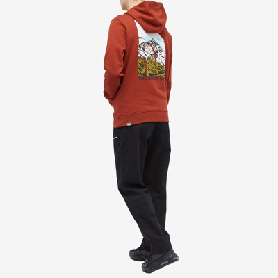 The North Face The North Face Seasonal Graphic Hoodie outlook