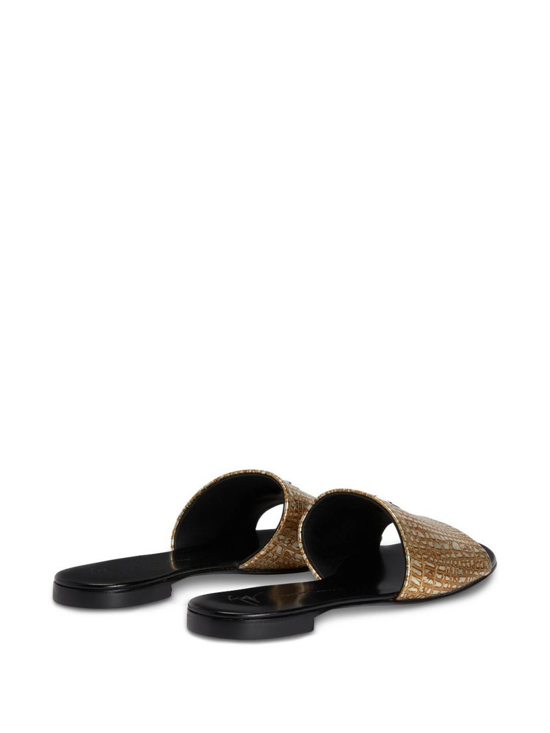 Shirley slides 3
