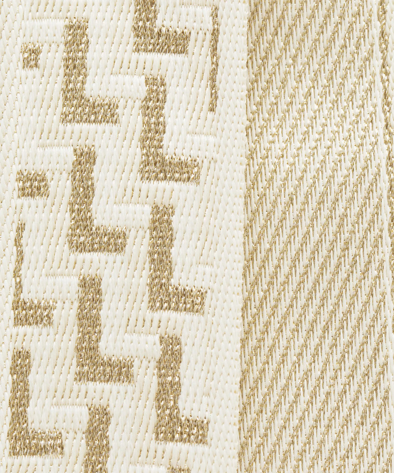 Everywhere Crossbody Bag 2L *L Monogram Metallic 5