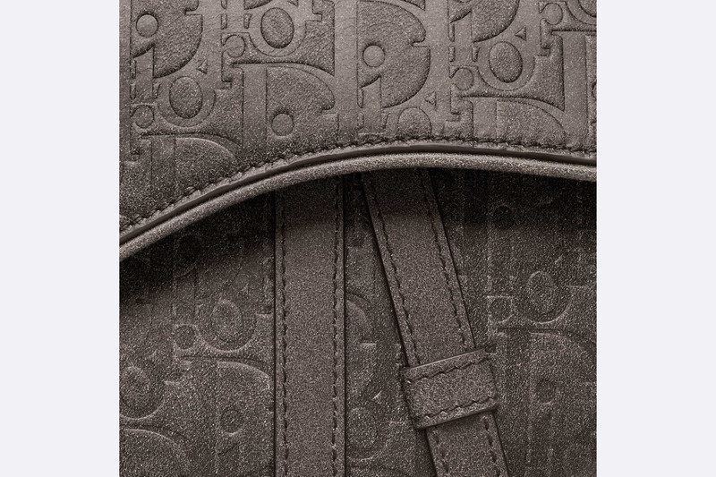 DIOR TEARS Saddle Bag 5