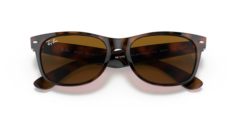 Ray-Ban NEW WAYFARER CLASSIC outlook
