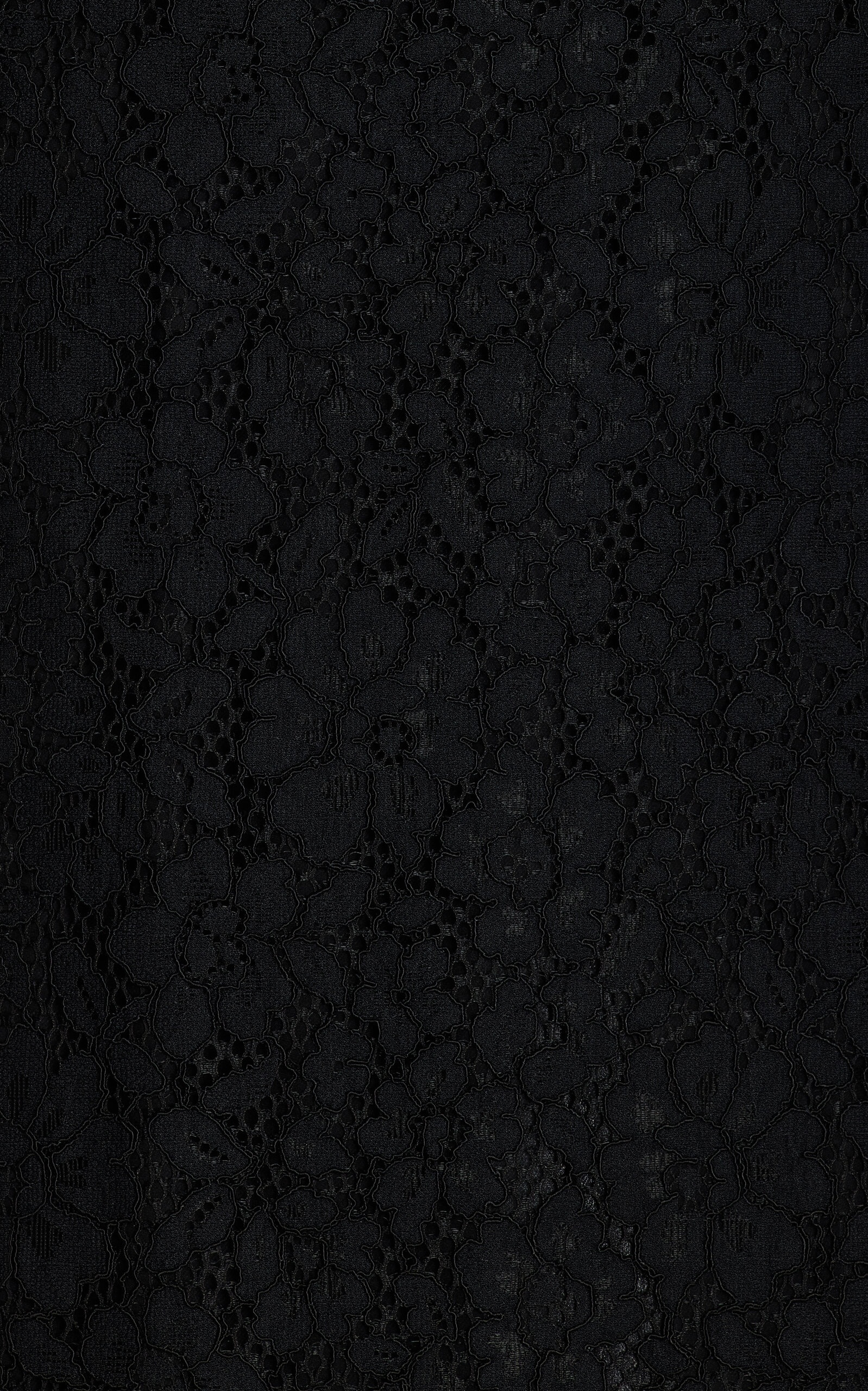 Jasmine Sheer Stretch-Lace Maxi Skirt black - 4