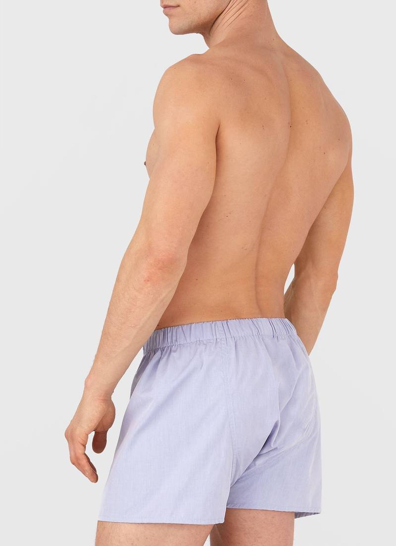 Sunspel Sea Island Cotton Boxer Short outlook