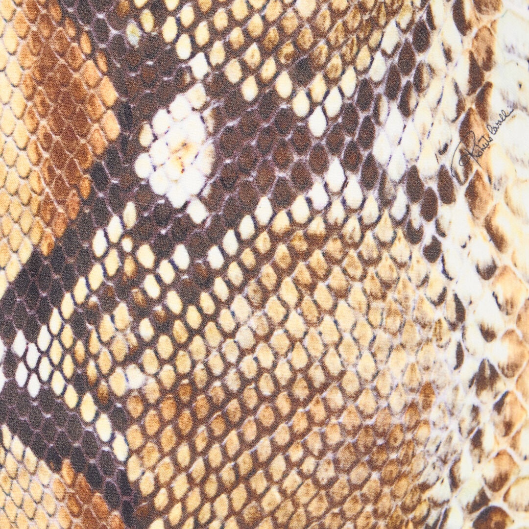 Python Print Mini Skirt - 5