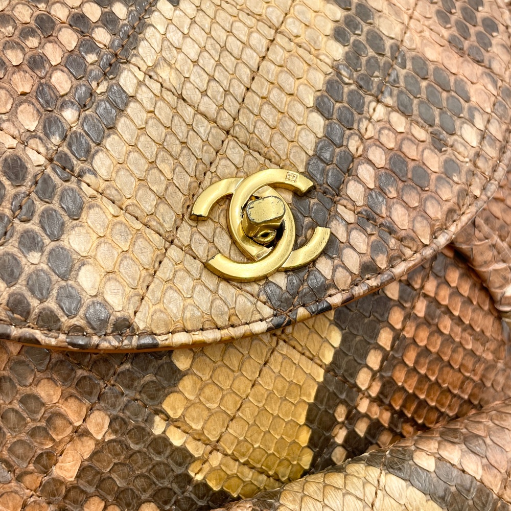 Chanel Snake Skin Duma Backpack - 9