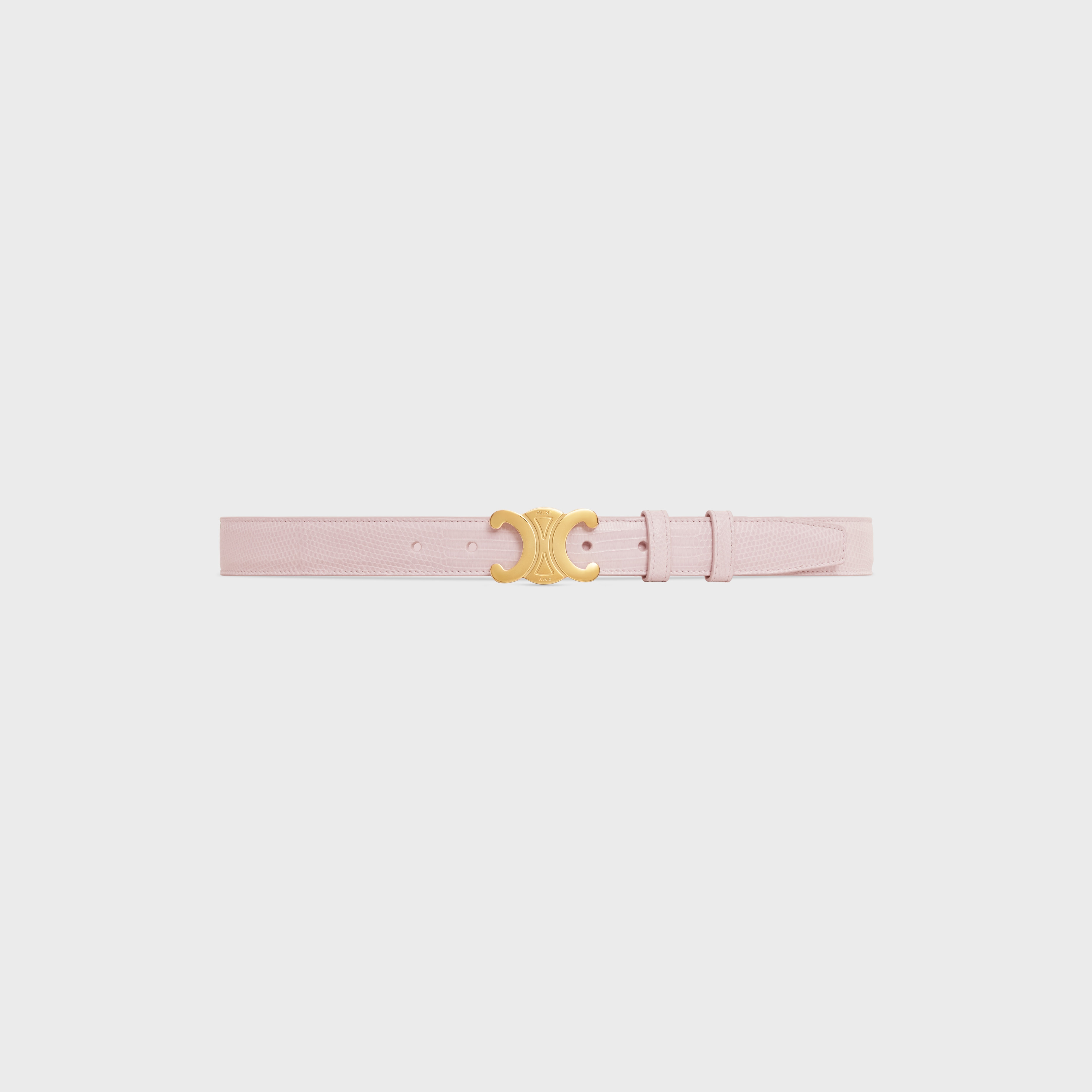 Medium Triomphe Belt in Lizard - 1