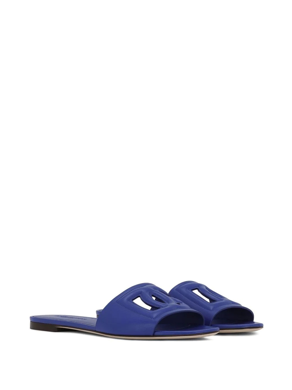 DG logo slides - 2