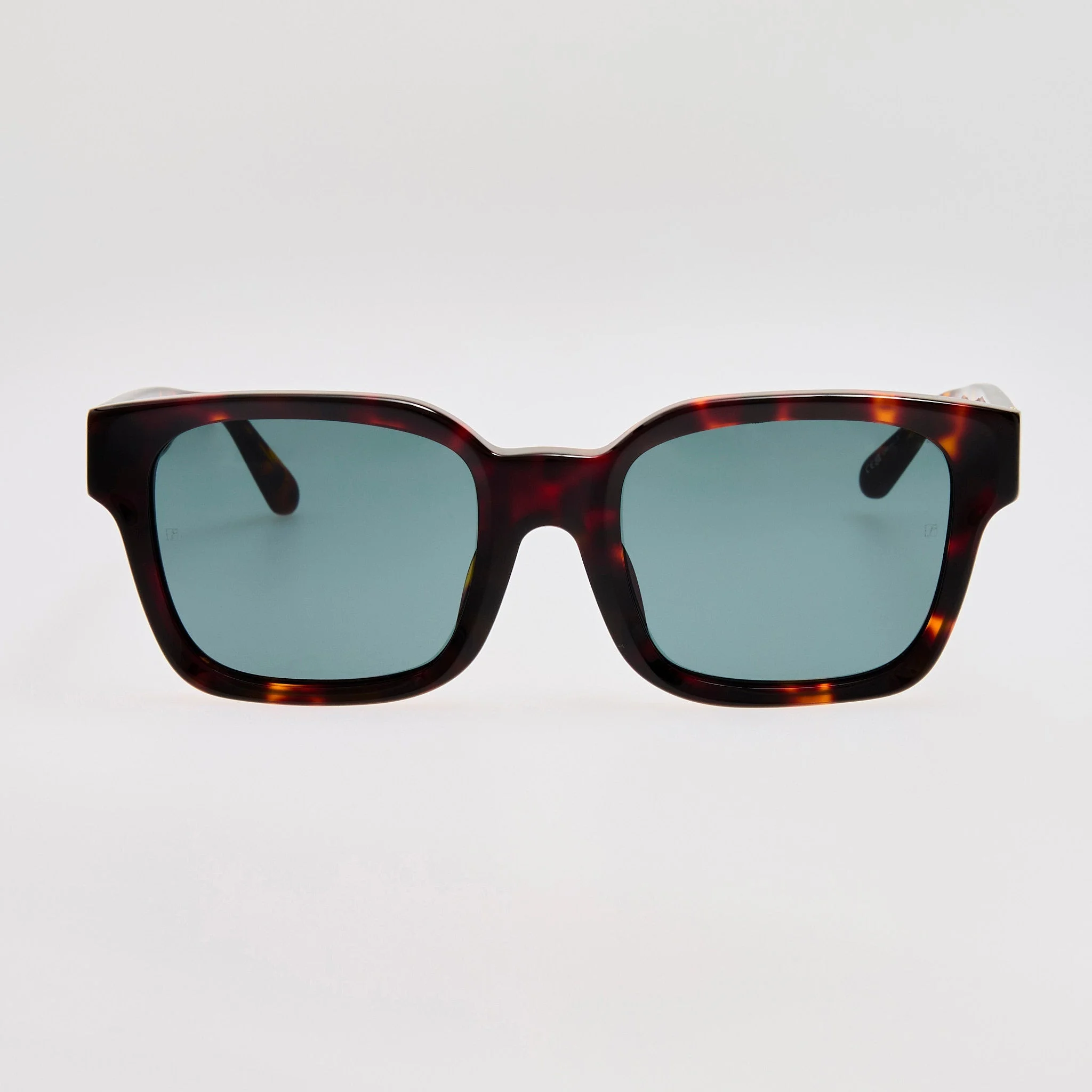 Nathan Sunglasses in Dark Tortoiseshell - 1